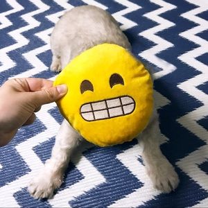 Meet your Posher, Cassy